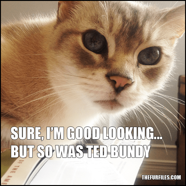 Serial Killers Don't Generally Have Whiskers | TheFurFiles