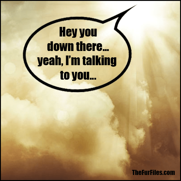 Hey Kids, God Has A Message For You... | TheFurFiles