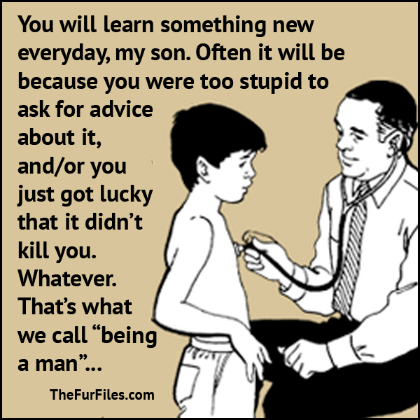 You Learn Something New Everyday | TheFurFiles