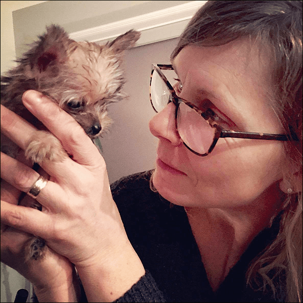 ARE DOGS SMARTER THAN CATS? That's Debatable | TheFurFiles